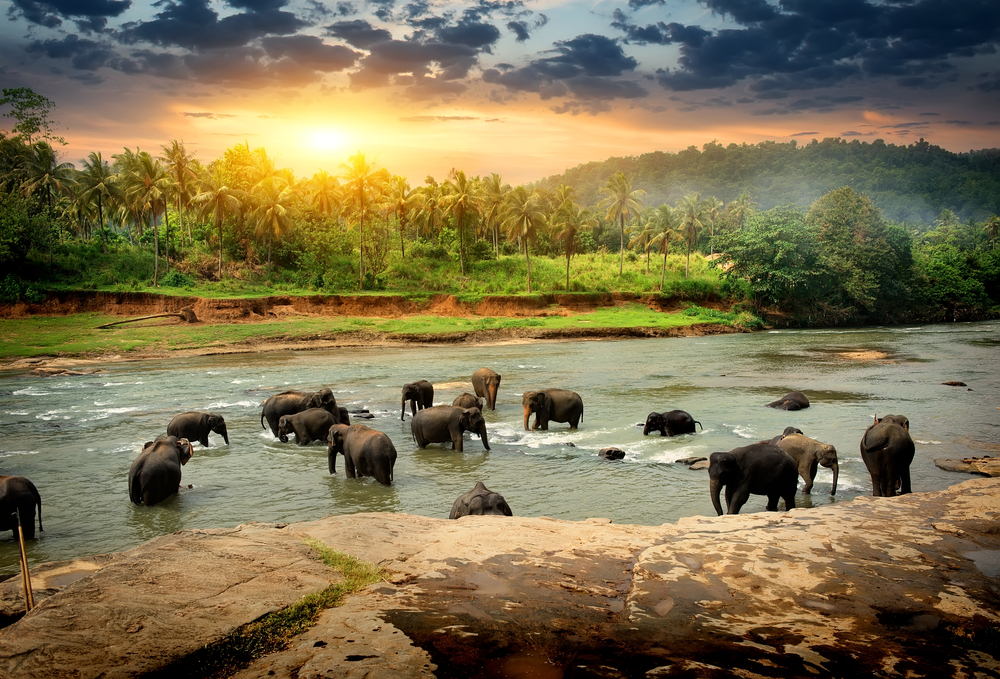 Best Time to Visit Sri Lanka: A Comprehensive Guide Best Time to Visit Sri Lanka: A Comprehensive Guide