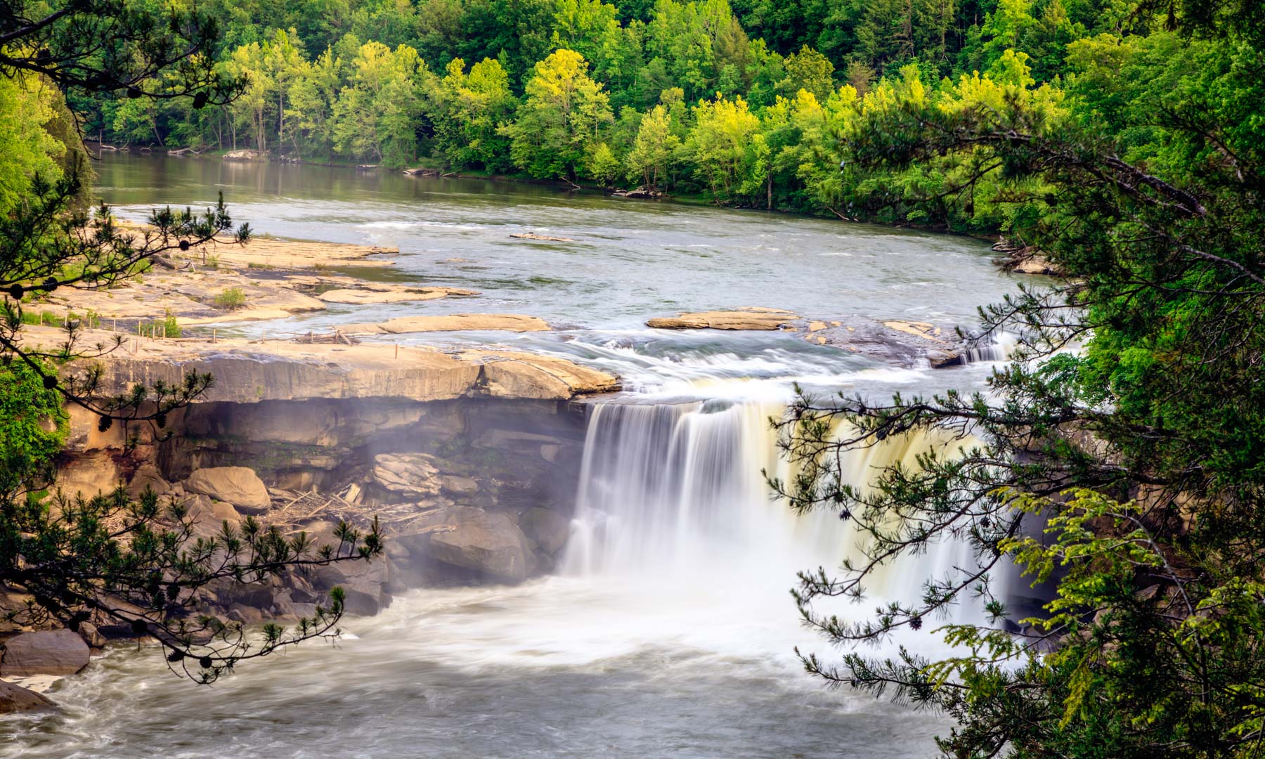 Best things to do in louisville