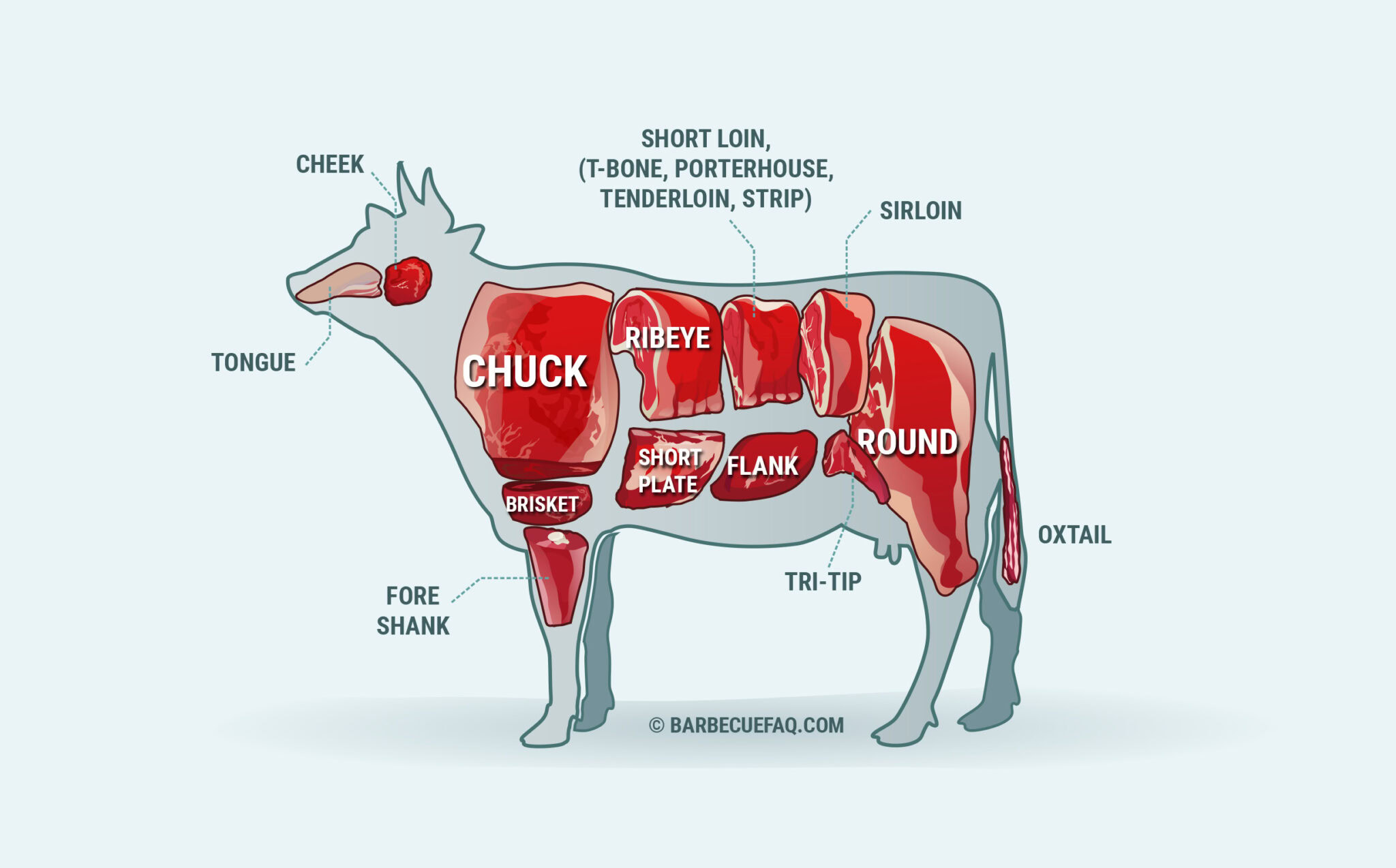 Best part of meat