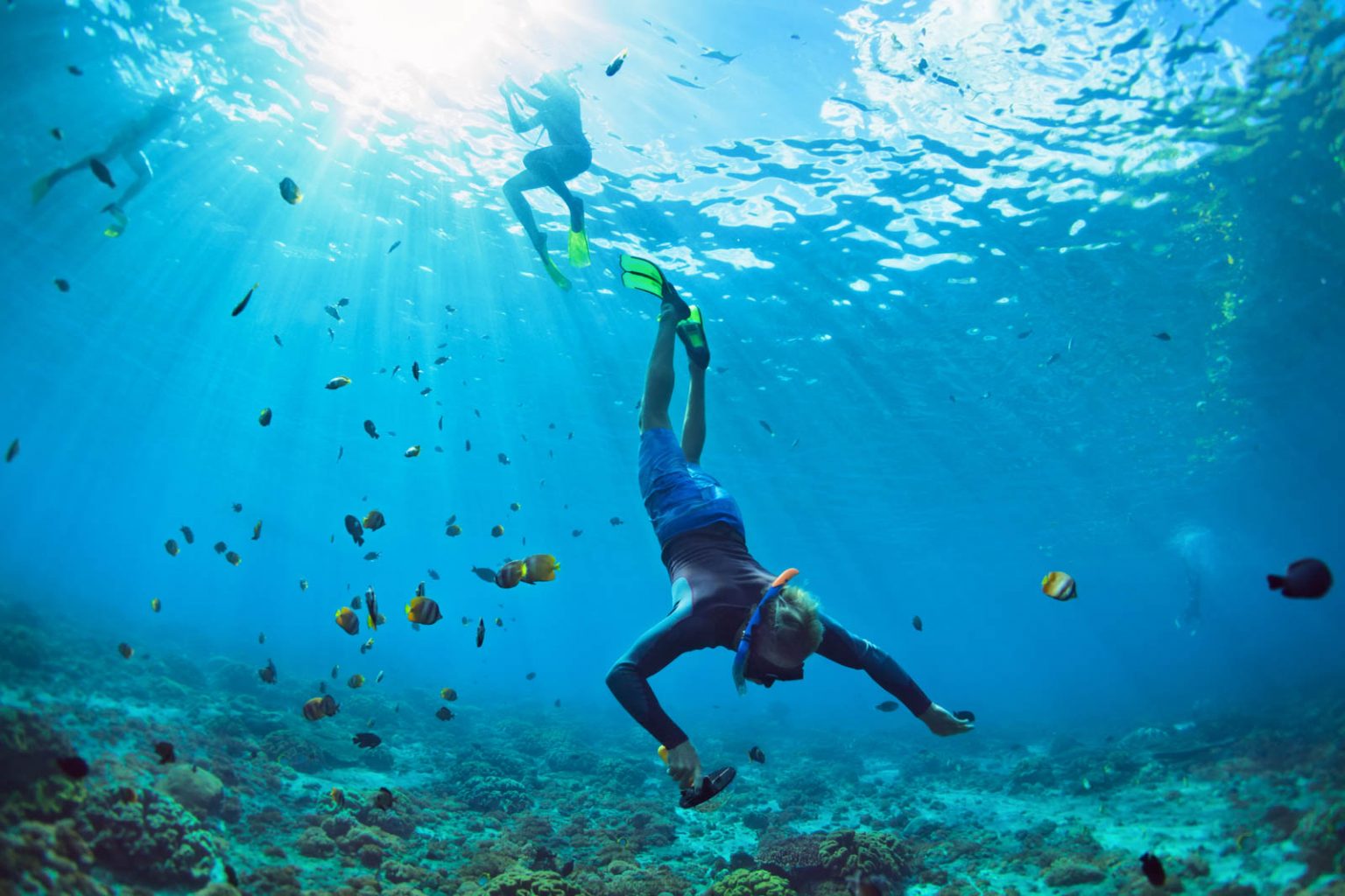 Best Excursions in Nassau