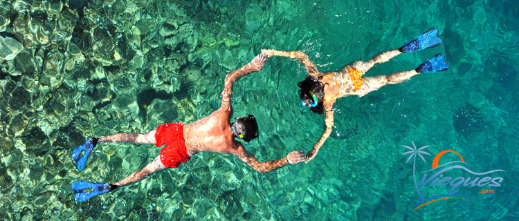 10 Best Snorkeling Spots in Puerto Rico - Mindfulpathfinder