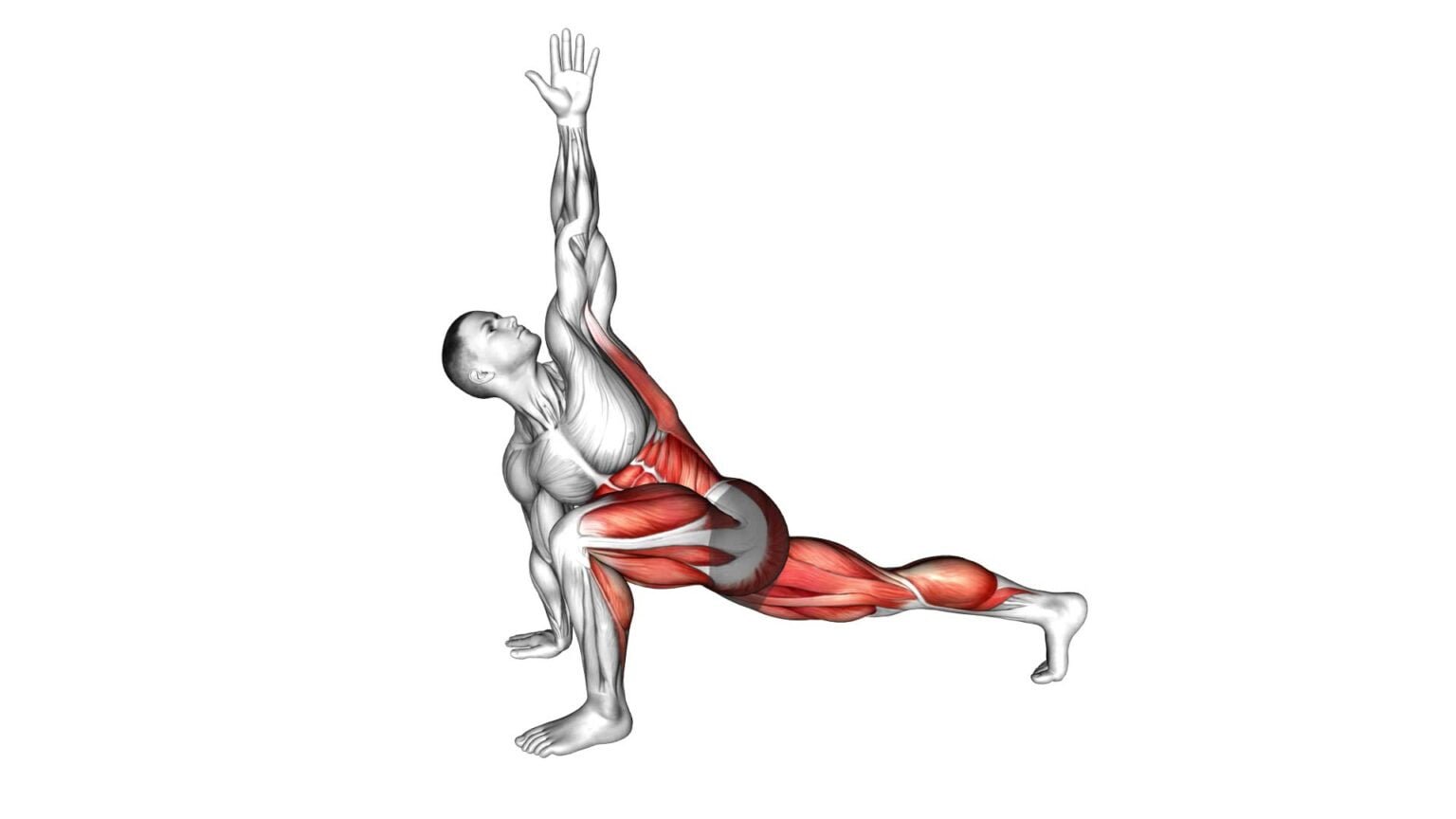 Best Deltoid Exercises for Mass Building Stronger Muscles