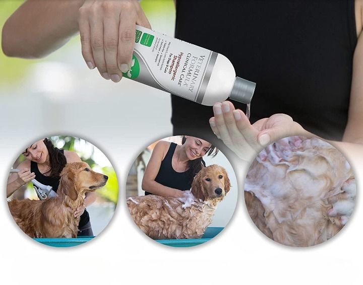 Best Hypoallergenic Dog Shampoo For Dry Itchy Skin Best shampoo for dogs with allergies