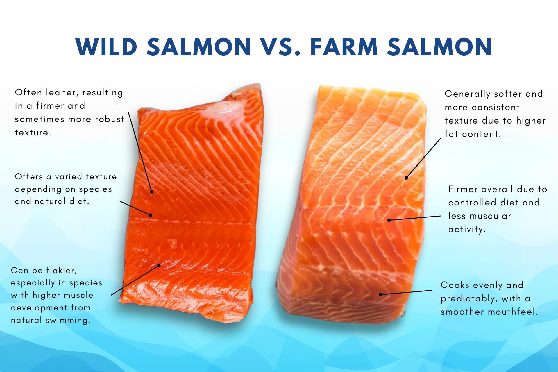 Best type of salmon