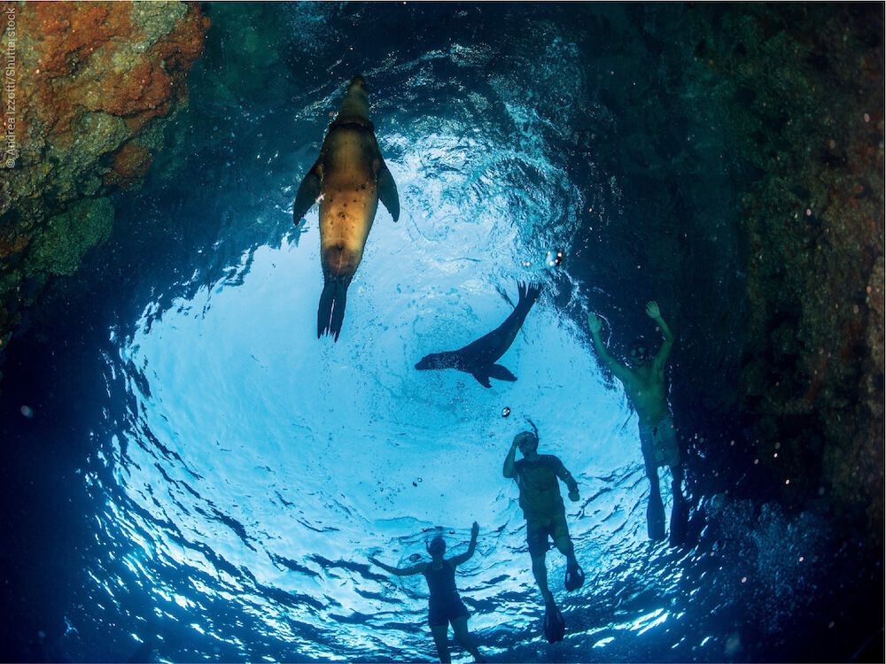 10 of the best places in the world for snorkeling - Lonely Planet